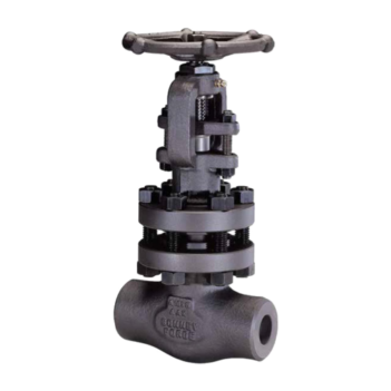 Globe Valve 4